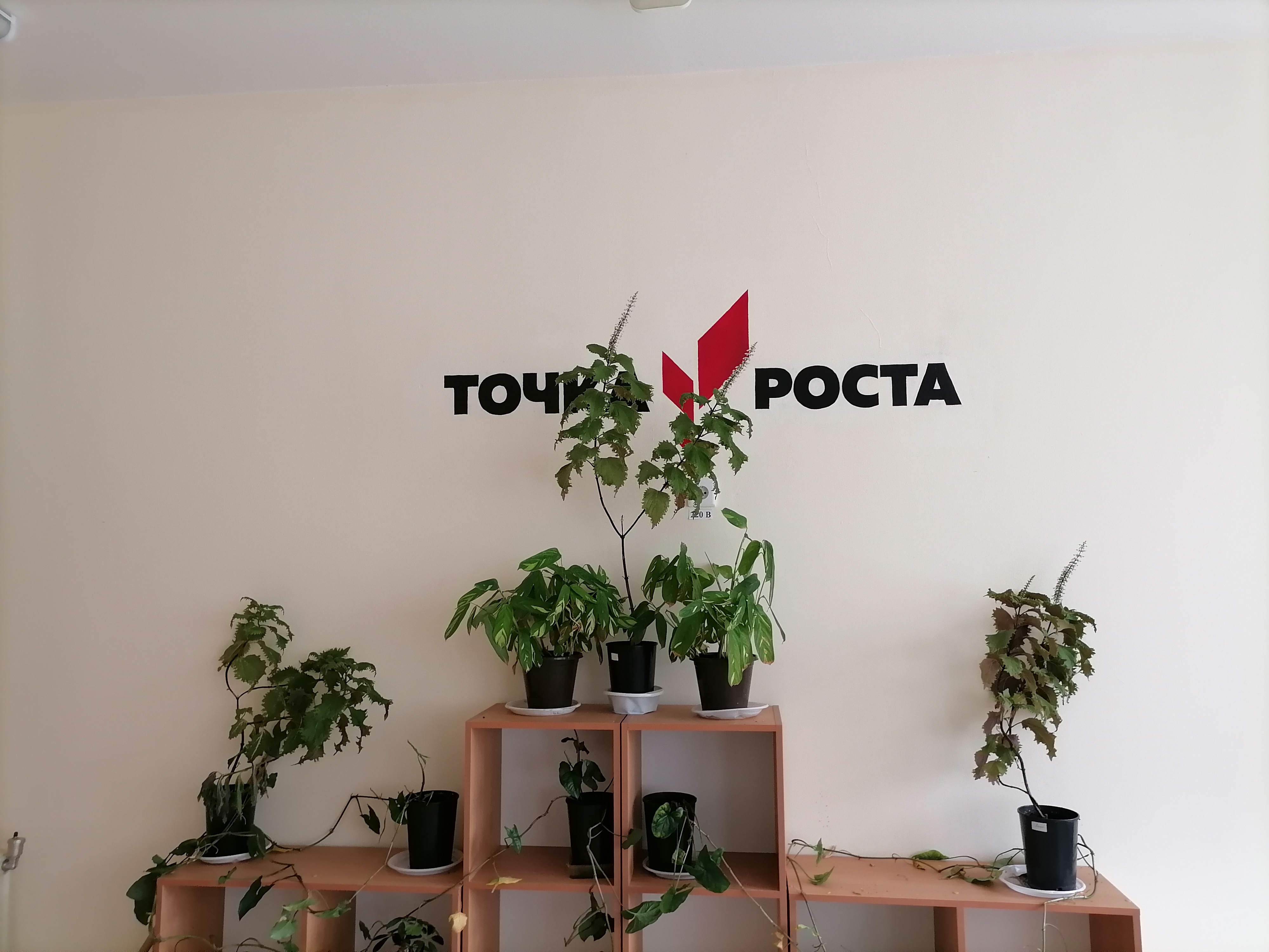Кабинет «Точка роста»